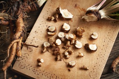 Masada taze karahindiba kökü kesmek - ev yapımı bitkisel tentür hazırlamak