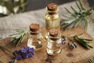 Şeffaf cam aromaterapi şişeleri taze lavanta çiçekleri ve yapraklarla gerekli yağ