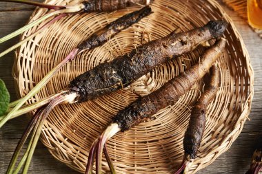 Masanın üzerinde taze dulavrat kökü. Ev yapımı bitkisel tentürler için malzeme.