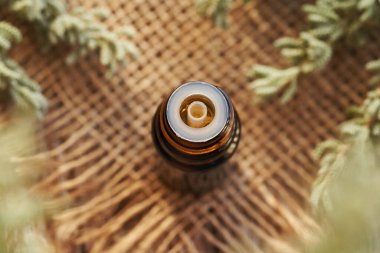 Kahverengi bir şişe aromaterapi esaslı yağ ve taze santolina bitkisi.