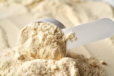 Beyaz bir kepçe içinde beyaz protein tozu