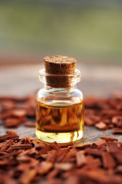 Şeffaf bir şişe aromaterapi kırmızı sandal ağacı parçacıkları ile gerekli yağ, kopyalama alanı ile