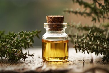 Taze kekik dallarıyla şeffaf bir kekik yağı şişesi.