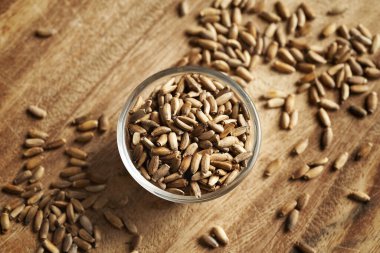 Cam kasede süt tohumu, üst manzara.