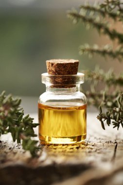 Tahta bir masanın üzerinde bir şişe kekik yağı.