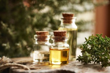 Taze kekik dalıyla gerekli yağ şişeleri