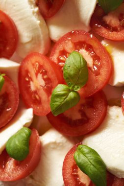 Taze domates, mozzarella peyniri ve fesleğen, İtalyan Caprese salatası, yakın plan.