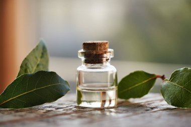 Bir şişe aromaterapi esaslı yağ ve pencere kenarındaki masada taze defne yaprağı.