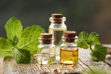 Üç şişe aromaterapi esaslı yağ ve taze nane yaprağı.