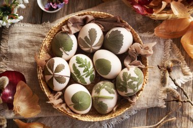 Çiğ Paskalya yumurtaları ve onlara bağlanmış otlar. Soğan kabuklarıyla boyanmaya hazır.
