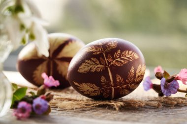 Kahverengi Paskalya yumurtası soğan kabuklarıyla boyanmış taze yapraklar ve bahar çiçekleri.
