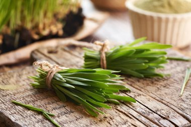 Taze yetişmiş yeşil arpa yaprakları ve toz.