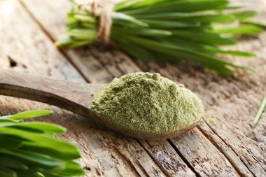 Taze bıçaklı bir kaşıkta arpa tozu.