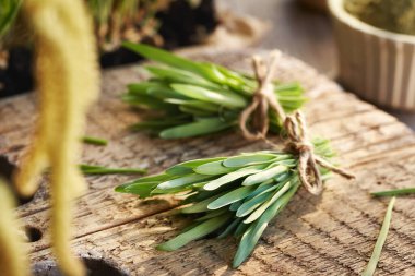 Tahta bir masanın üzerinde iki tomar taze yeşil arpa.