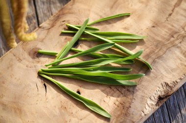 Tahta kesme tahtasının üzerinde taze yeşil arpa çimleri, yakın plan.