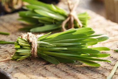 Taze yeşil arpa otları ahşap bir masada.