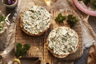 Baharın başlarında iki dilim ekmekle hasat edilen yabani bitkilerden yapılan ısırgan otu yağı.