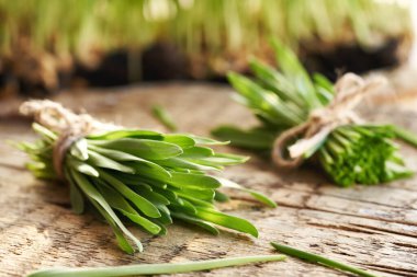 İki tomar taze arpa tohumu bir masada, yakın plan.