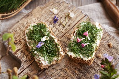 Karga sarımsaklı veya soğan otlu iki dilim ekmek, akciğer otu ve menekşe çiçekleri - ilkbaharın başlarında toplanan yabani yenilebilir bitki