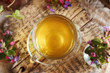 Taze akciğer otu ya da baharın başında toplanan pulmonarya çiçekli bir fincan bitki çayı.