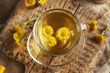 Bir bardak yaban ördeği ya da Tussilago çayı ve taze tay çiçeği.