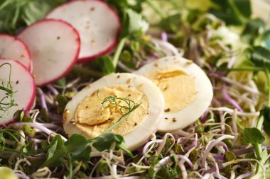 Yeşil bezelye filizleri ve turp filizleri ya da taze sebze salatasında mikro yeşillikler.