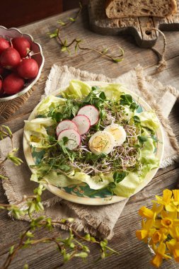 Baharda taze sebze salatası, turp filizleri ve yeşil bezelye filizleri.