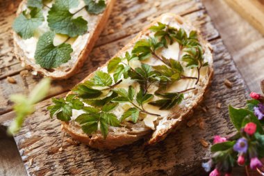 Arazi büyüğü ya da gutweed yaprakları. Baharın başında bir dilim ekşi ekmek üzerine toplanan yaban yenilebilir bitki.