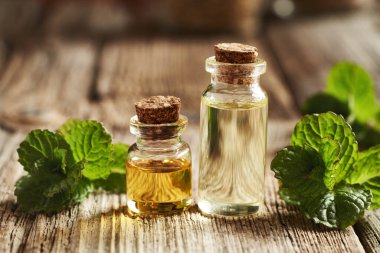 İki şişe aromaterapi esaslı yağ taze naneli bitki.