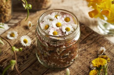 Yaygın papatya çiçeklerinden bitkisel şurup ve cam bir kavanozda esmer şeker hazırlama