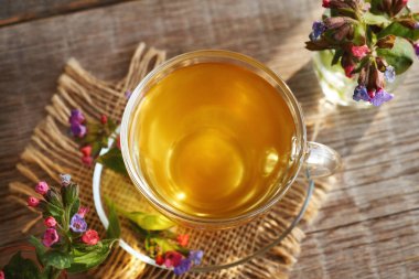 Taze akciğer otu ya da bahar başında toplanan pulmonarya çiçekli bir fincan bitki çayı.