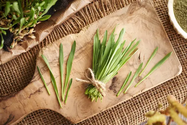 Taze yetişmiş yeşil arpa yaprakları bir masanın üstünde, üst manzara