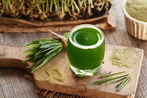 Taze yeşil arpa suyu ve ev yapımı arpa çimi yaprakları.