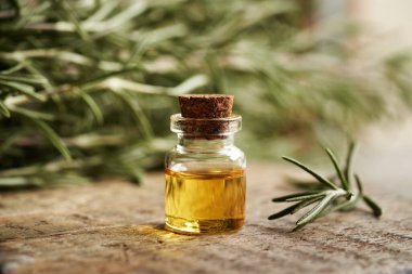 Kapalı bir masada şeffaf bir biberiye yağı şişesi.