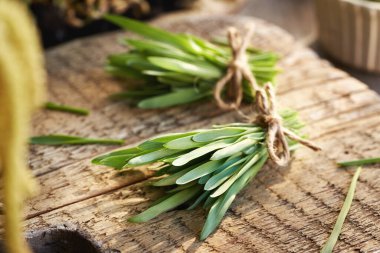 Taze yeşil arpa yaprakları ahşap bir masada