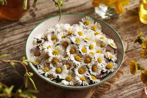 Bir kase papatya çiçeği. Baharın başında toplanan vahşi, yenilebilir bir bitki.