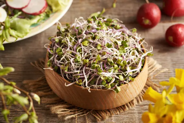 Taze turp filizleri ya da bir kasede mikro yeşiller.