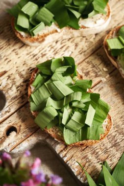 Baharda ormanda hasat edilen yabani sarımsak yapraklarıyla dilimler.                 