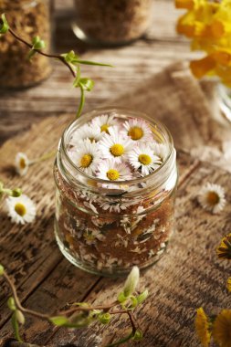 Taze papatya çiçekleri ve kamış şekeriyle bitkisel şurup hazırlama