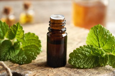 Melissa 'nın taze yapraklı koyu bir şişe yağı.