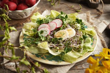Yeşil bezelyeli sebze salatası ve ahşap bir masada pembe turp filizleri.