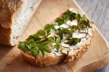 Taze, genç toprak ağası masada bir dilim ekşi ekmek bırakır.