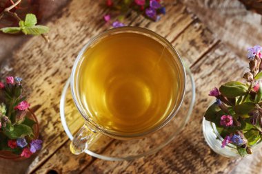 Taze akciğer otu ya da Pulmonaria çiçeği ve bir fincan bitki çayı.