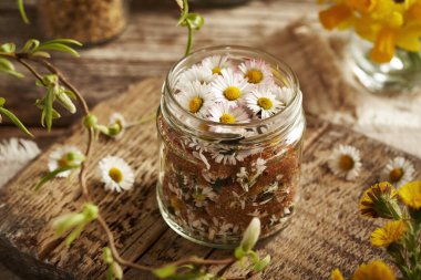 Taze papatya çiçekleri ve kahverengi şekerle dolu cam kavanoz - öksürük için ev yapımı bitkisel şurup hazırlama