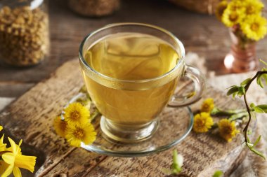 Şeffaf cam bir bardak taze çiçekli Coltsfoot çayı. Bitkisel ilaçlar.