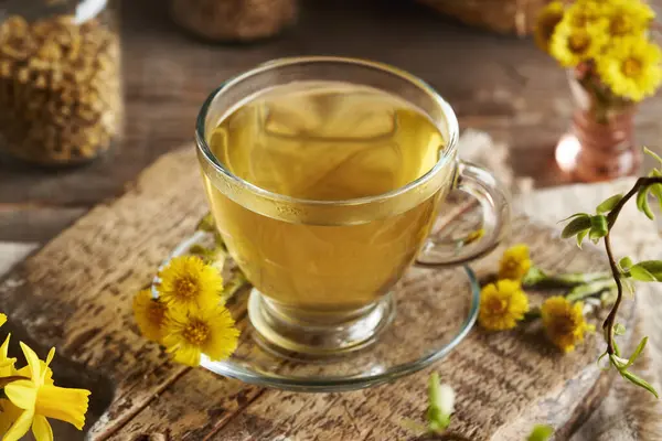 Şeffaf cam bir bardak taze çiçekli Coltsfoot çayı. Bitkisel ilaçlar.