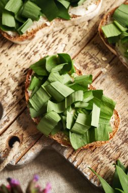 Kesilmiş ayının sarımsaklı sarımsaklı ekmek dilimleri. Vahşi, yenilebilir bitki..