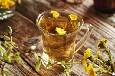 Bahar başında toplanmış taze Tussilago çiçekleriyle bir bardak coltsfoot çayı.