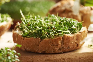 Bir dilim ekşi ekmek ve taze yetiştirilmiş bahçe lahanası ya da mikro yeşillikler. Yakın plan.