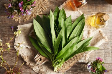 Masanın üzerinde taze sarımsak yaprakları. Baharın başında hasat edilen vahşi, yenilebilir bir bitki.